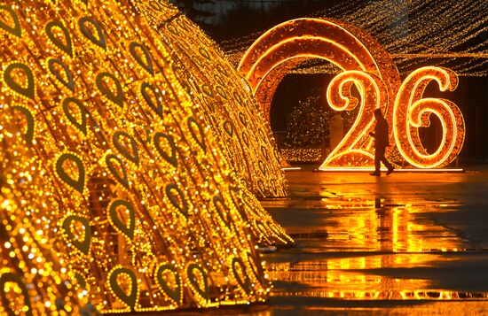 Предновогодняя Москва