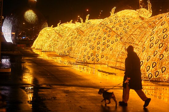Предновогодняя Москва