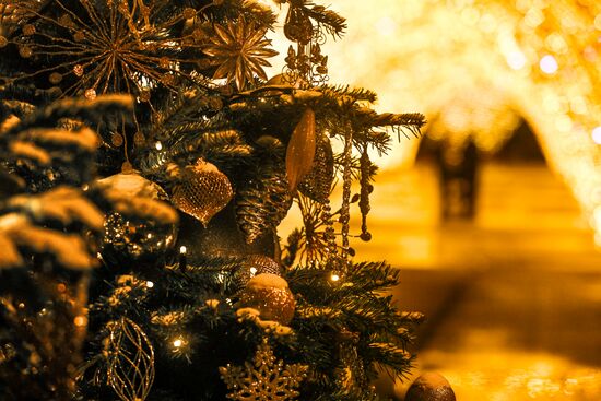 Предновогодняя Москва