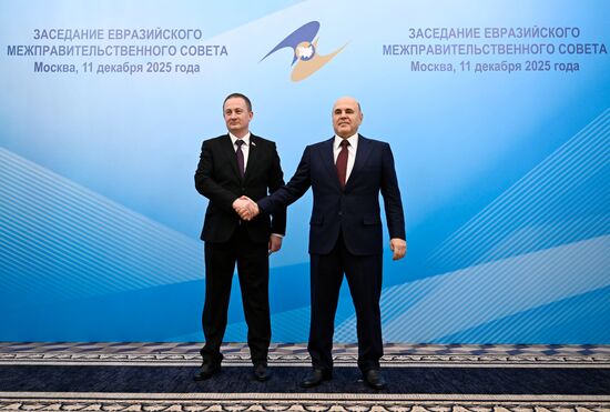 Заседание Евразийского межправительственного совета