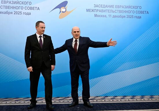 Заседание Евразийского межправительственного совета