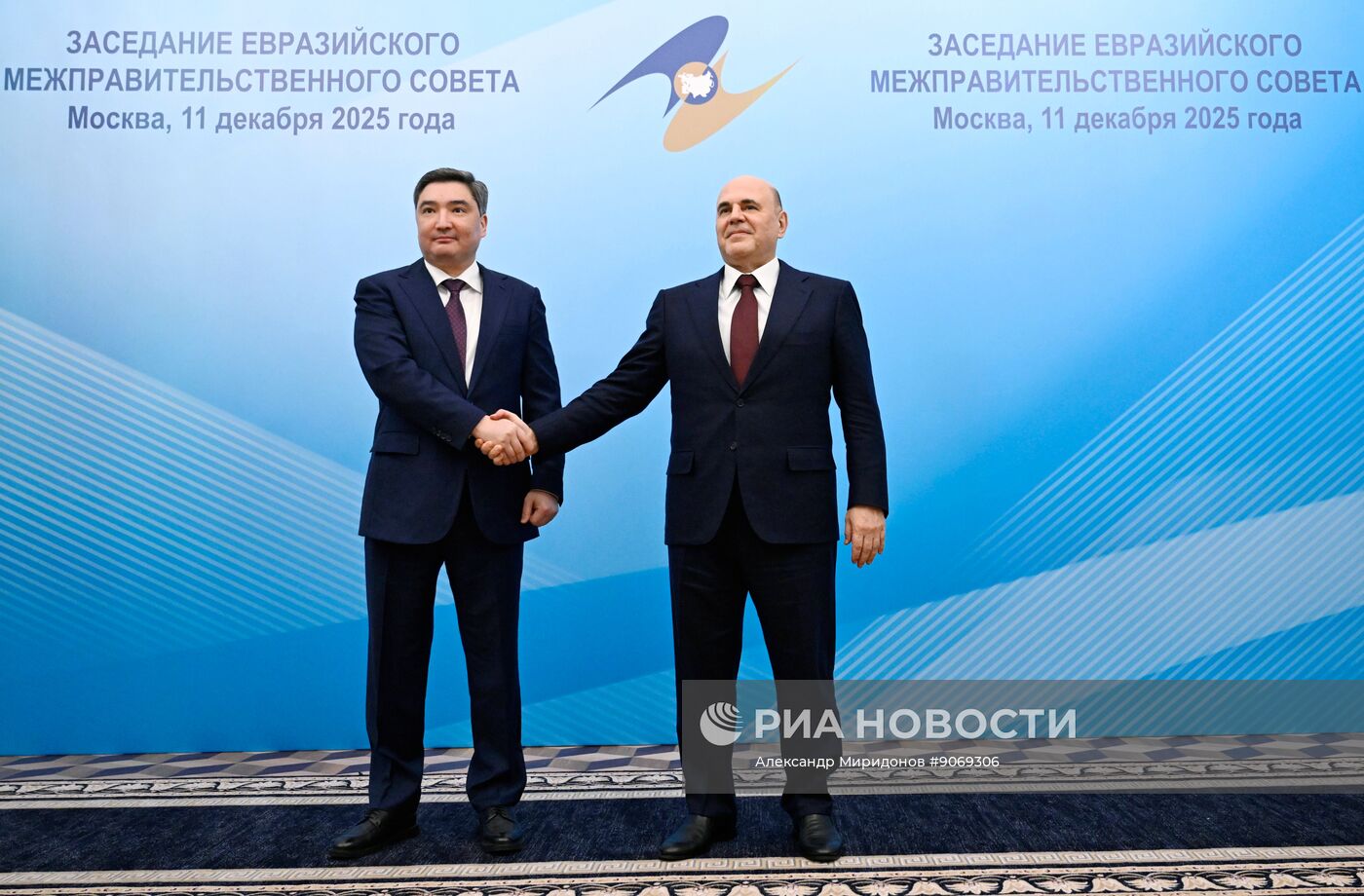 Заседание Евразийского межправительственного совета