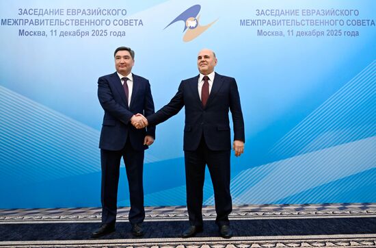 Заседание Евразийского межправительственного совета