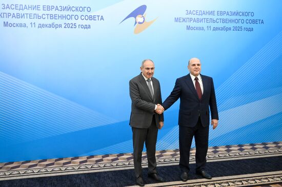 Заседание Евразийского межправительственного совета