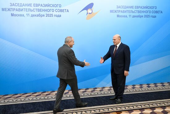 Заседание Евразийского межправительственного совета