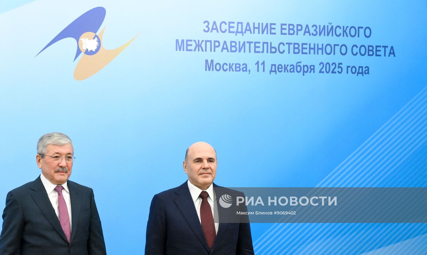 Заседание Евразийского межправительственного совета