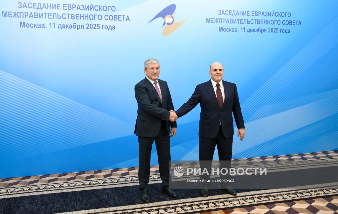 Заседание Евразийского межправительственного совета