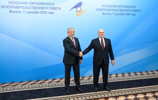 Заседание Евразийского межправительственного совета