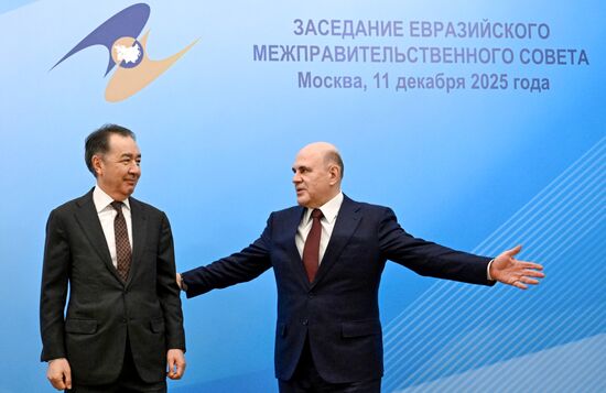 Заседание Евразийского межправительственного совета