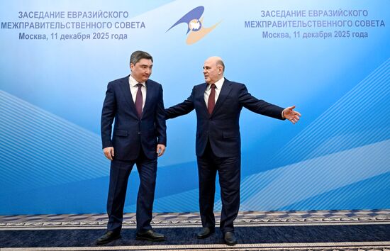 Заседание Евразийского межправительственного совета