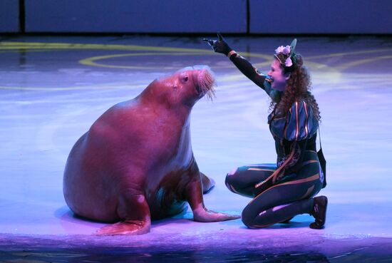 Водное шоу "Кощей" в Москвариуме на ВДНХ