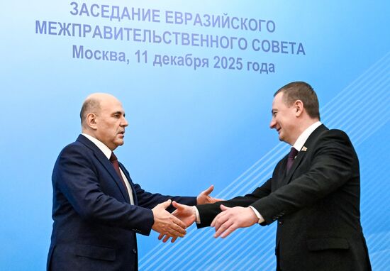 Заседание Евразийского межправительственного совета