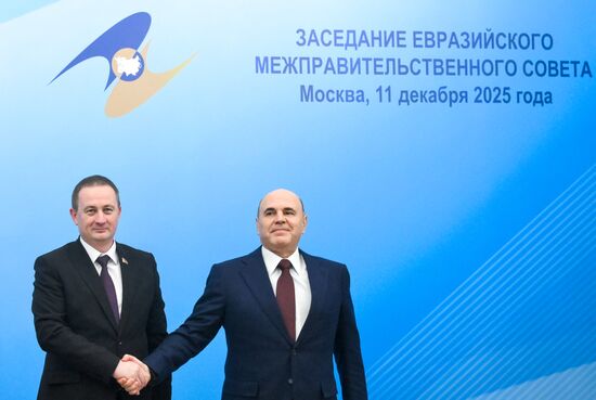 Заседание Евразийского межправительственного совета