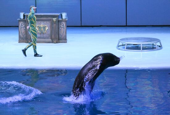 Водное шоу "Кощей" в Москвариуме на ВДНХ