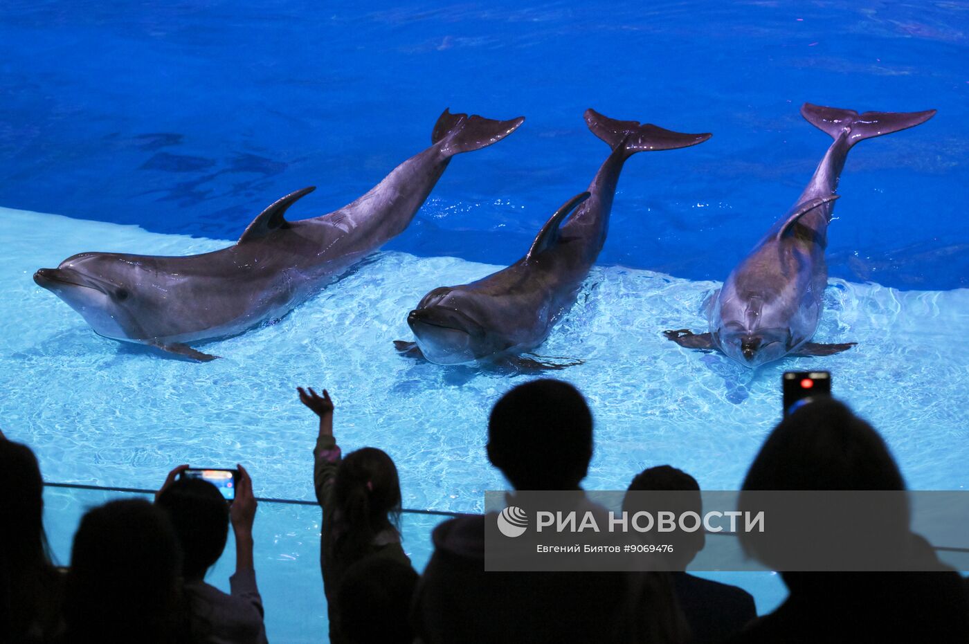 Водное шоу "Кощей" в Москвариуме на ВДНХ