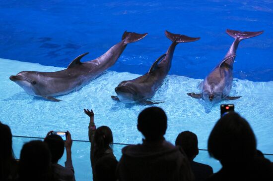 Водное шоу "Кощей" в Москвариуме на ВДНХ