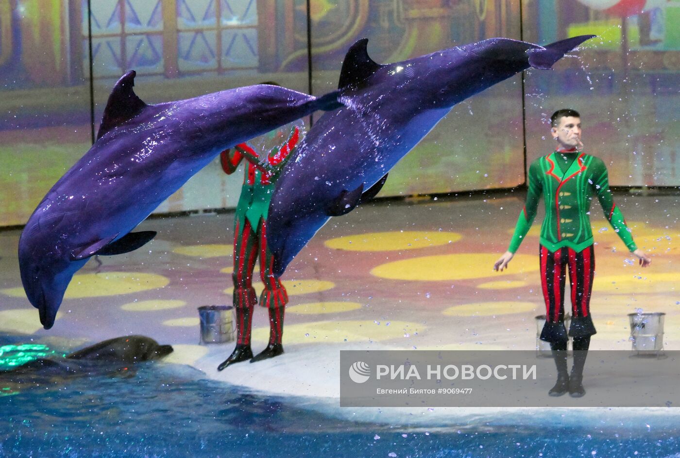 Водное шоу "Кощей" в Москвариуме на ВДНХ