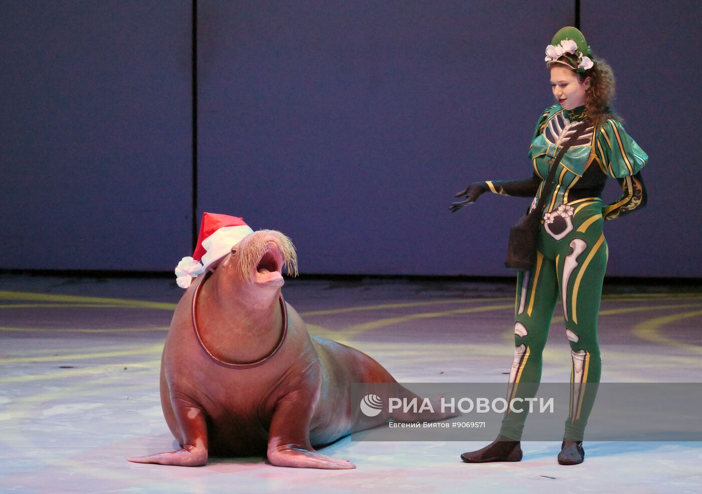 Водное шоу "Кощей" в Москвариуме на ВДНХ