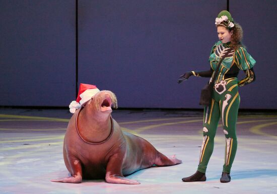 Водное шоу "Кощей" в Москвариуме на ВДНХ