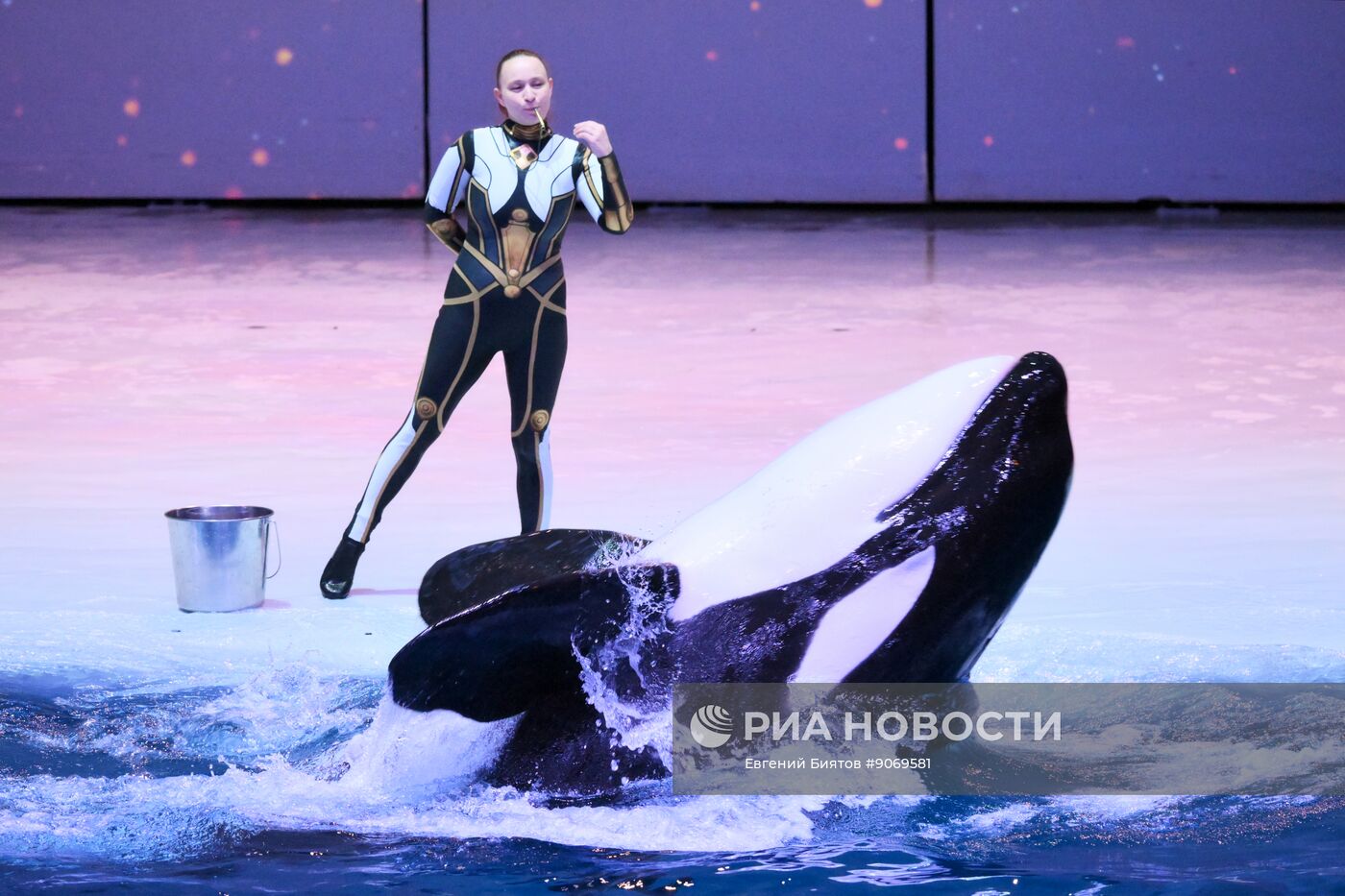 Водное шоу "Кощей" в Москвариуме на ВДНХ