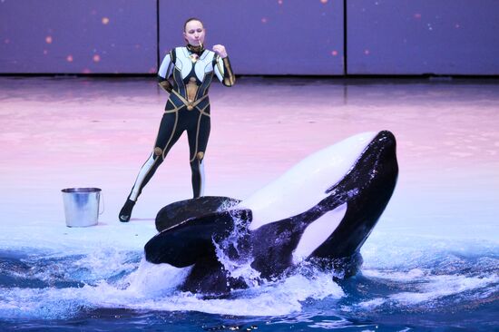 Водное шоу "Кощей" в Москвариуме на ВДНХ