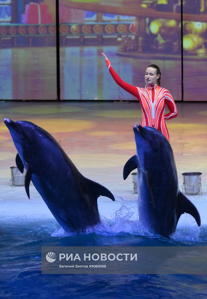 Водное шоу "Кощей" в Москвариуме на ВДНХ