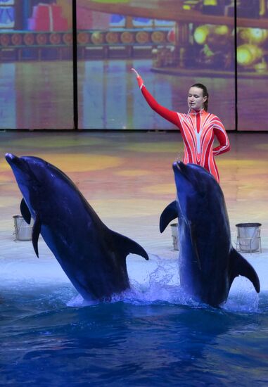 Водное шоу "Кощей" в Москвариуме на ВДНХ