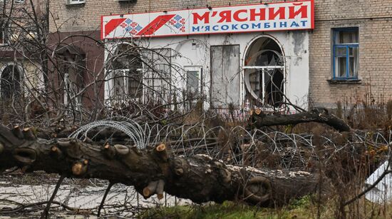 Освобожденный российскими войсками Красноармейск