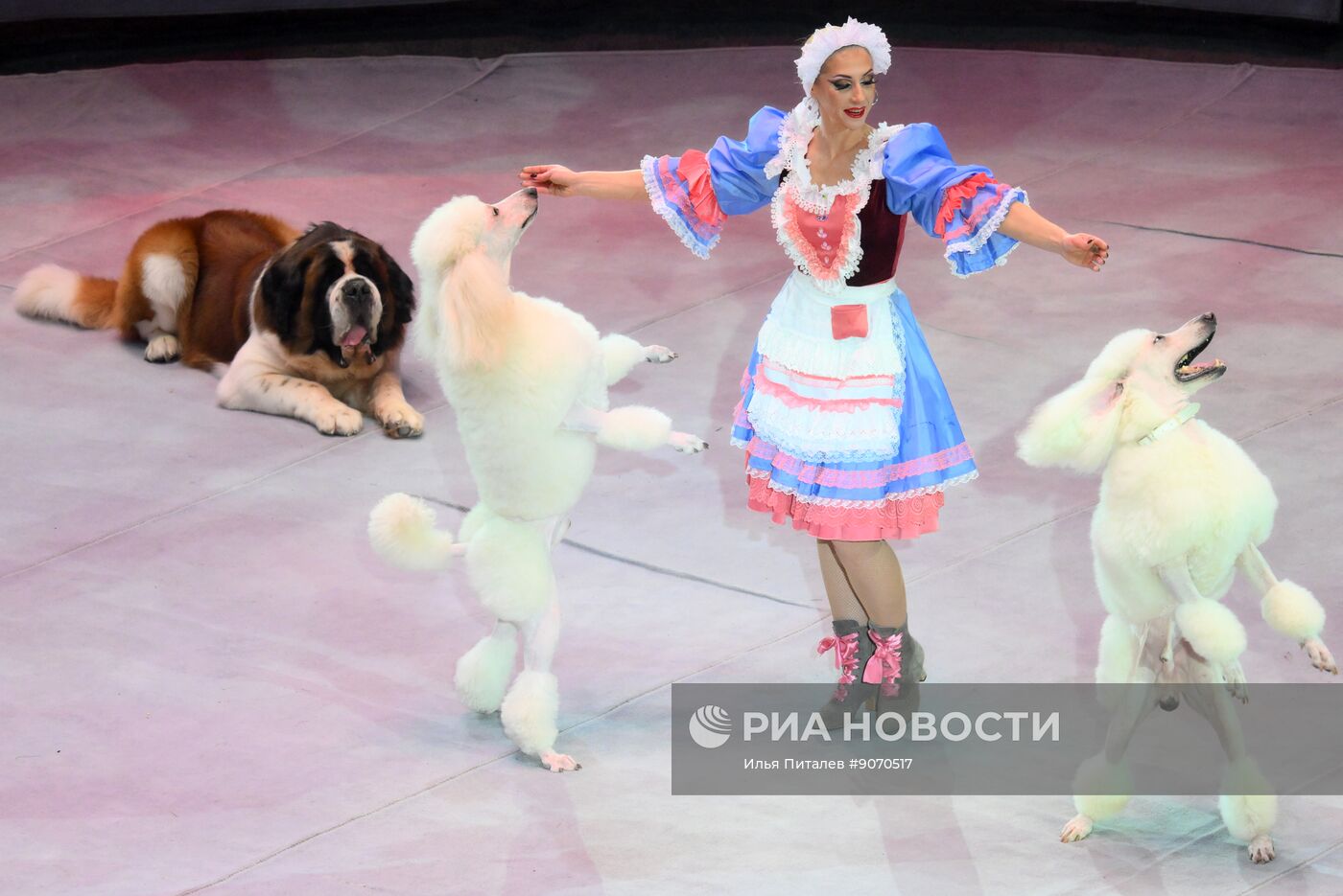 Премьера шоу "Сказка о Белоснежке и семи гномах" в Большом Московском цирке 