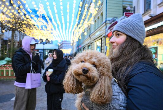 Предновогодняя Москва