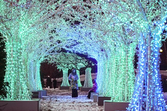 Предновогодняя Москва