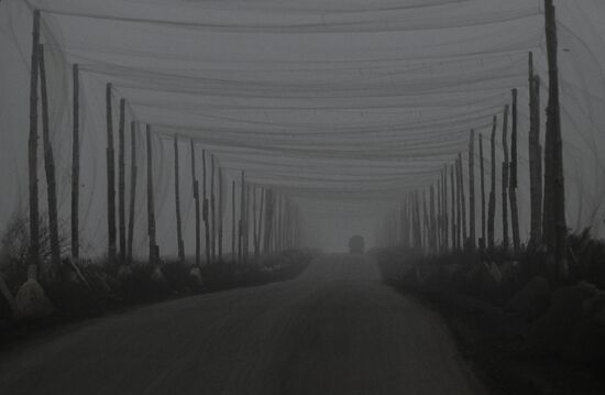 Фронтовые дороги СВО