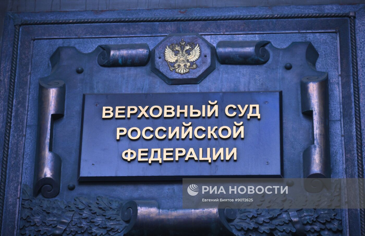 Рассмотрение жалобы по делу о квартире певицы Долиной