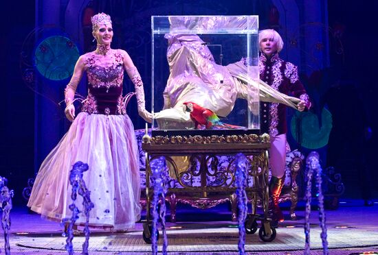 Открытие Волгоградского цирка после реконструкции