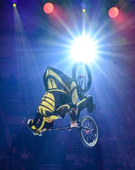 Открытие Волгоградского цирка после реконструкции