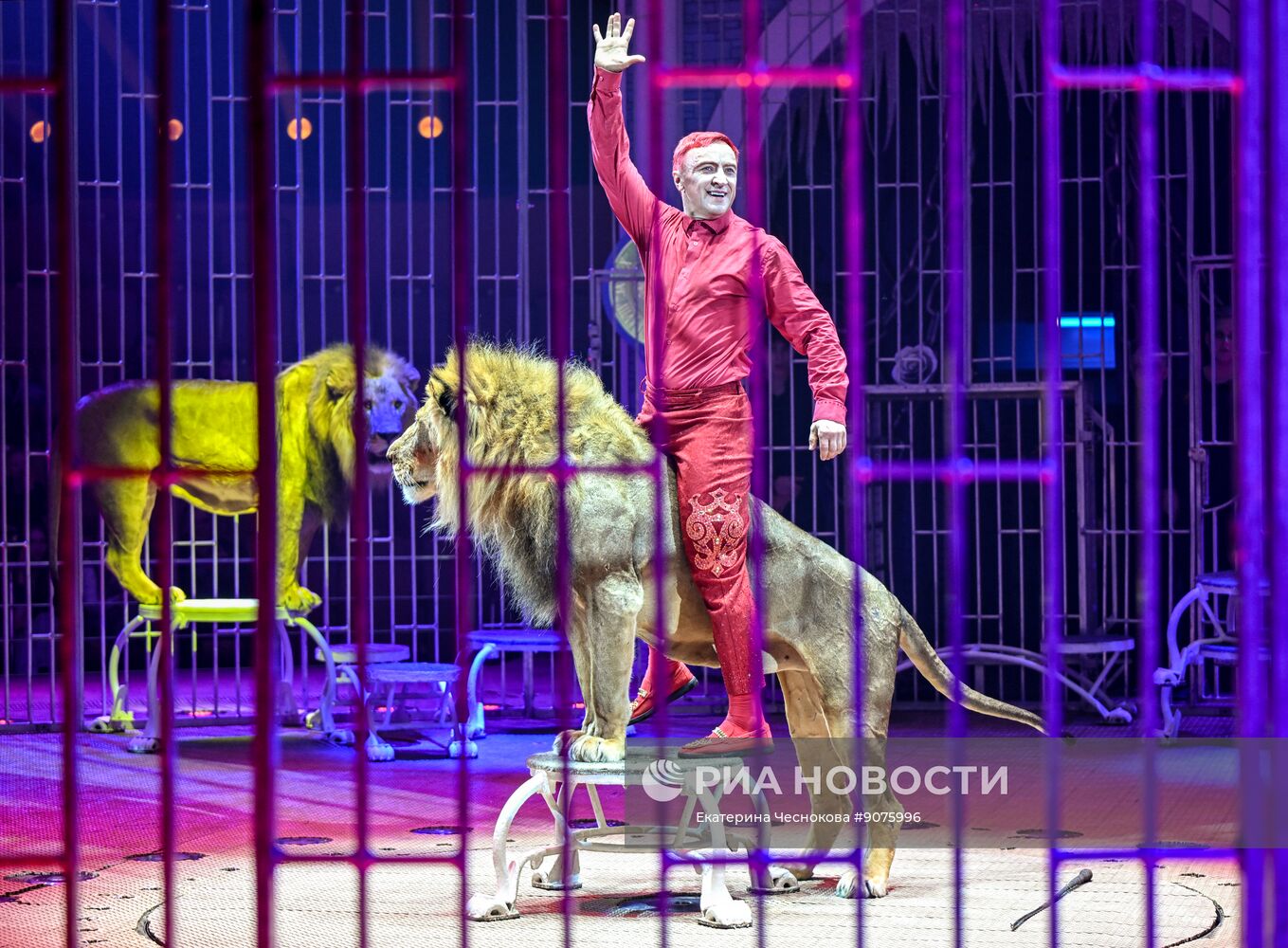 Открытие Волгоградского цирка после реконструкции