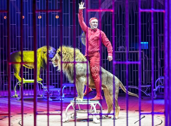 Открытие Волгоградского цирка после реконструкции