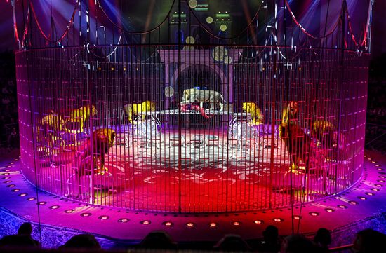 Открытие Волгоградского цирка после реконструкции