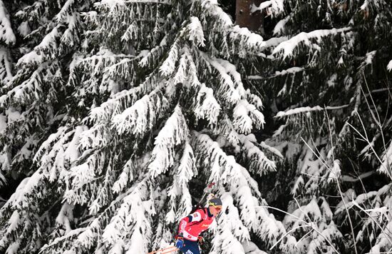 Биатлон. 3 этап. Кубок Содружества. Женщины. 12.5 км. Масс-cтарт