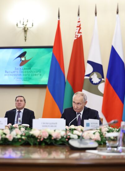 Президент Владимир Путин принял участие в работе Высшего Евразийского экономического совета