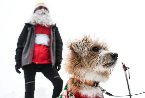 Новогодний "Забег Обещаний - 2026" в Новосибирске