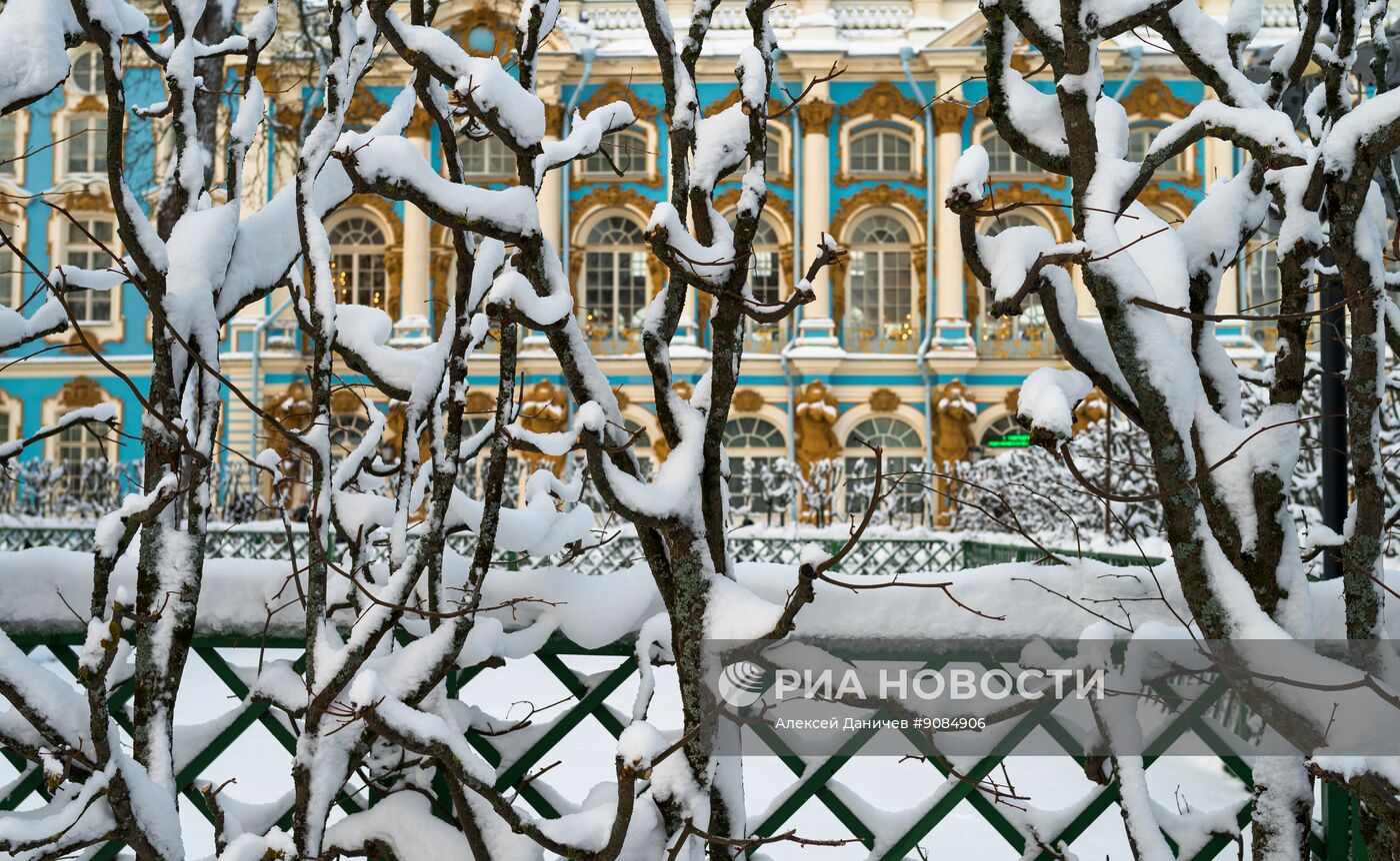 Зимнее "Царское Село"