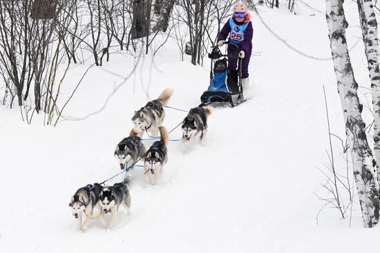 Гонки на собачьих упряжках "Рождественский заезд - 2026" в Новосибирской области