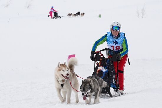 Гонки на собачьих упряжках "Рождественский заезд - 2026" в Новосибирской области