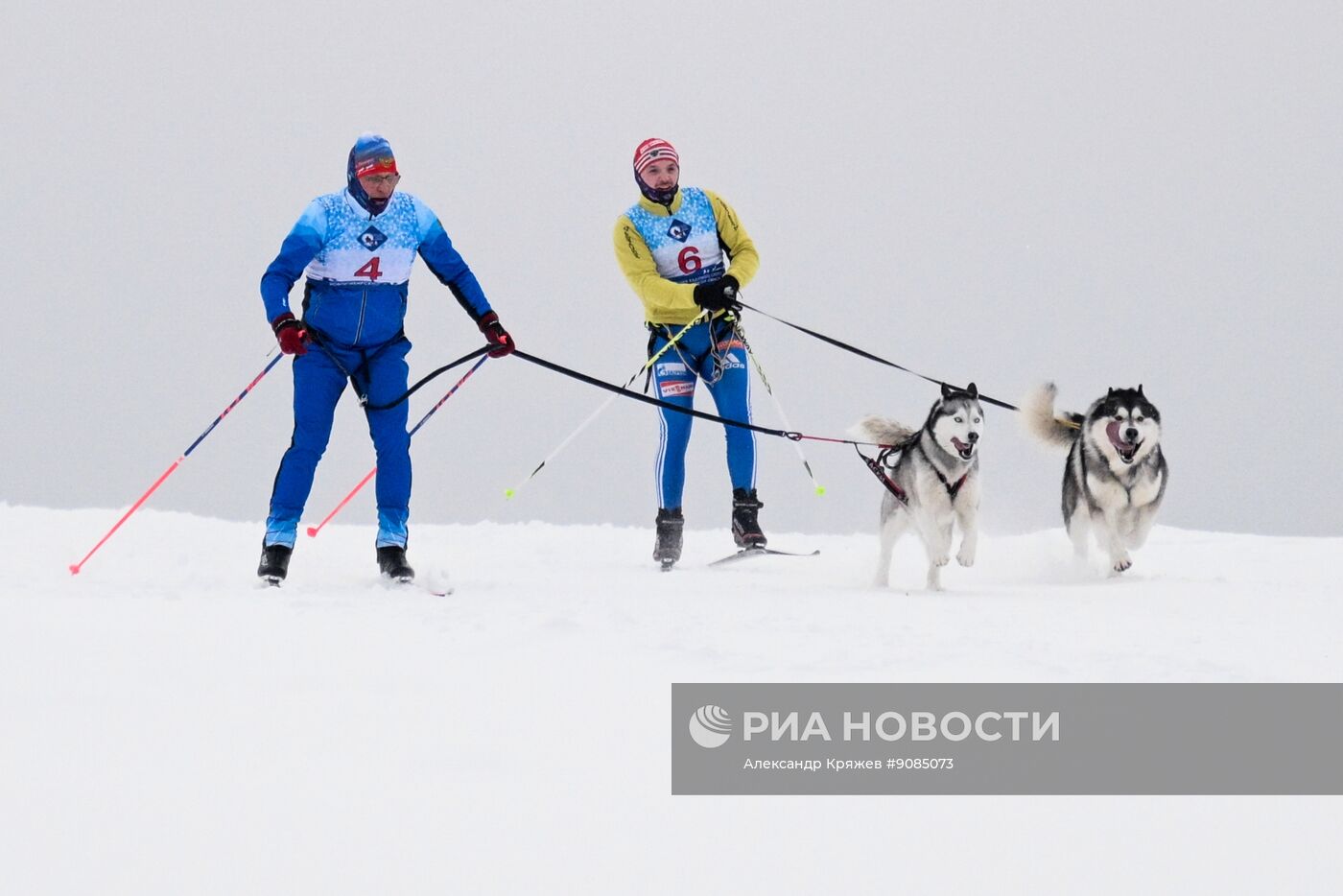 Гонки на собачьих упряжках "Рождественский заезд - 2026" в Новосибирской области