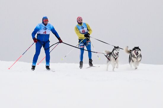 Гонки на собачьих упряжках "Рождественский заезд - 2026" в Новосибирской области