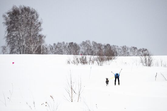 Гонки на собачьих упряжках "Рождественский заезд - 2026" в Новосибирской области