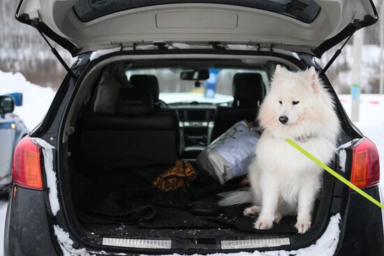 Гонки на собачьих упряжках "Рождественский заезд - 2026" в Новосибирской области