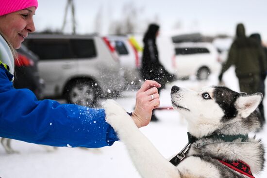 Гонки на собачьих упряжках "Рождественский заезд - 2026" в Новосибирской области