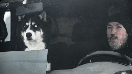 Гонки на собачьих упряжках "Рождественский заезд - 2026" в Новосибирской области